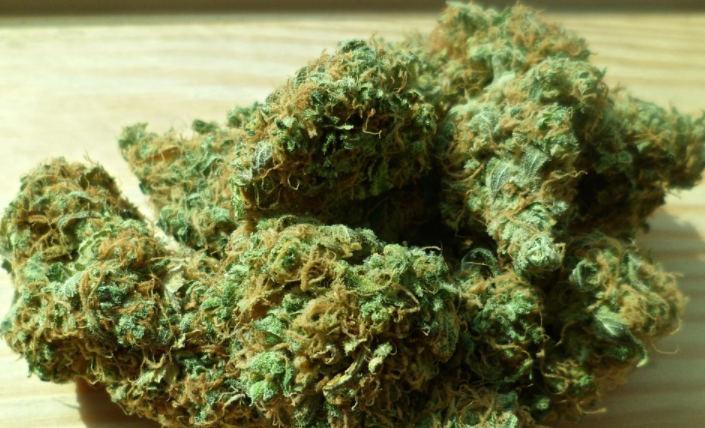 cannabis